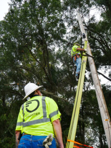 Frontier employee working on a pole