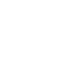 Frontier primary logo