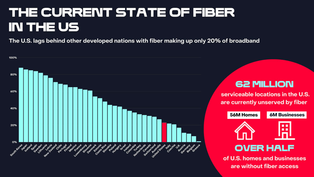 Fiber study graphic